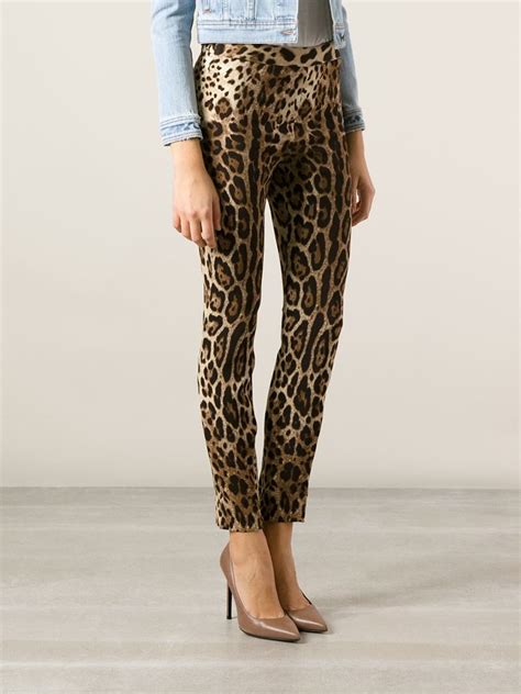 dolce & gabbana leggings women's